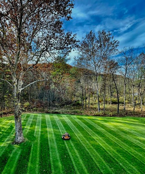 Fall yard cleaning Williamsport PA