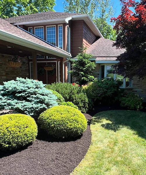 yard preparation Williamsport pa
