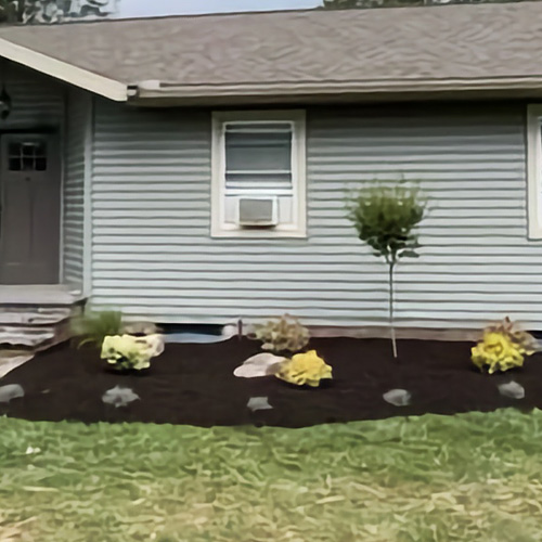 Garden Bed Install, Design, Redo