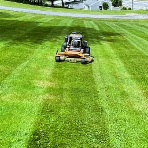 Lawn Mowing Service Williamsport
