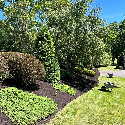 Mulch delivery Williamsport