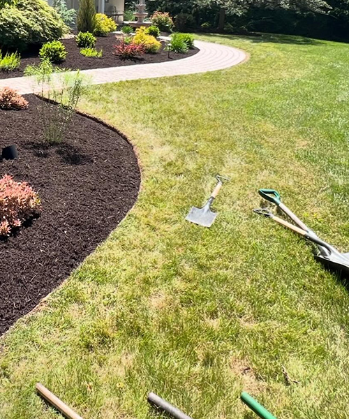 Spring Yard Cleanup Williamsport PA