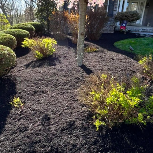 Weed barrier material, installer