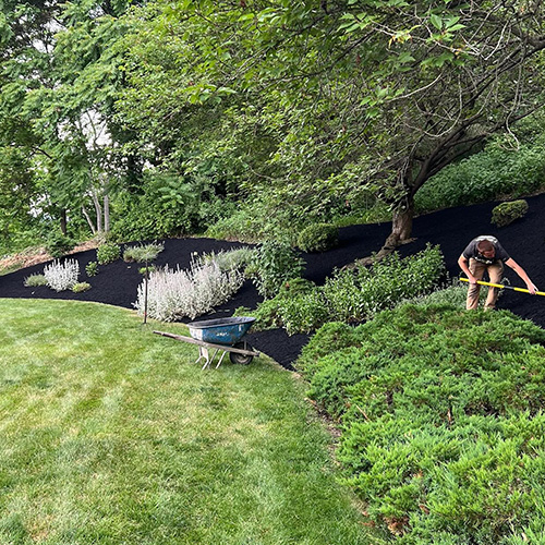 Williamsport Lawn Care, Mowing Service, Landscaper